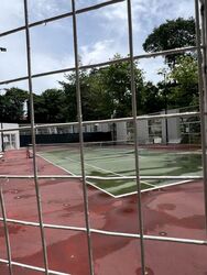 Orchard Scotts (D9), Condominium #482564551